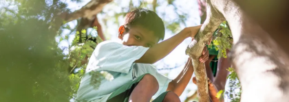 Investimentos e descarbonização impulsionam estratégia de sustentabilidade do Grupo Energisa 