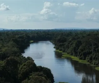 Meio Ambiente: Energisa destaca compromisso com sustentabilidade