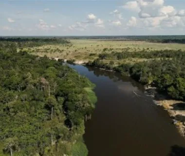 Floresta Viva:Energisa reforça compromisso com a preservação ambiental Floresta Viva:Energisa reforça compromisso com a preservação ambiental