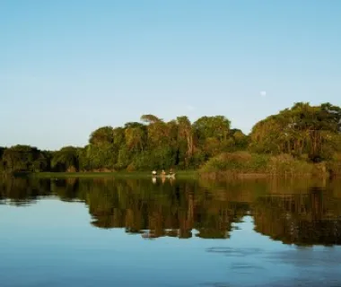 Caminhos da Descarbonização: a adição energética em ação