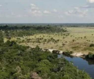 Floresta Viva: novo edital é voltado para projetos da bacia do Xingu