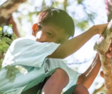 Energisa aposta em investimentos e descarbonização sustentável