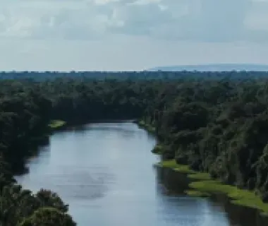 Energisa tem como meta neutralidade de carbono até 2050 