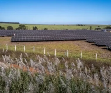 Grupo Energisa lança o FlexLab, uma plataforma de inovação aberta