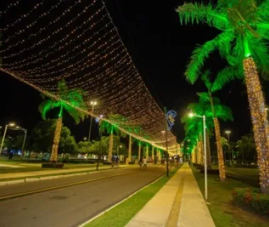 Parque da Sementeira recebe tradicional iluminação de Natal