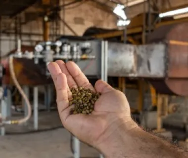 Projeto pioneiro usa gás natural na secagem de café no ES