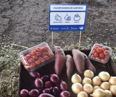 Projeto de compostagem da Energisa gera bons resultados em Adamantina