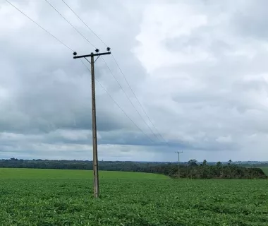Novo calendário rural apoia 250 mil famílias que estão no campo a cont