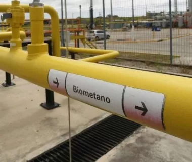 Energisa aposta em biometano Energisa aposta em biometano