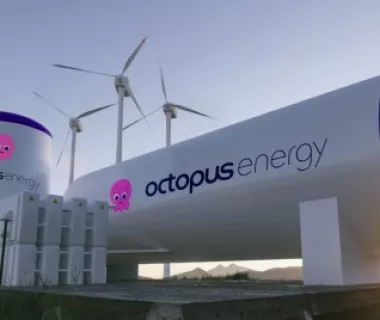 Parceria entre Energisa e Octopus Energy com foco na energia renovável Parceria entre Energisa e Octopus Energy com foco na energia renovável
