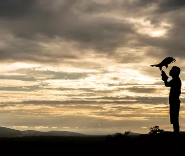 O encantador de falcões: de Itabaiana para o mundo