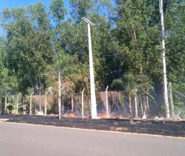 Chegada do verão Amazônico acende alerta para o perigo das queimadas e