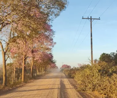 Produtores rurais que recebem desconto da Tarifa Rural devem renovar o