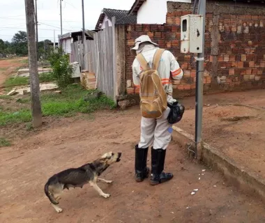 Energisa registra 1.300 alertas contra ataques de cães em Mato Grosso  Energisa registra 1.300 alertas contra ataques de cães em Mato Grosso