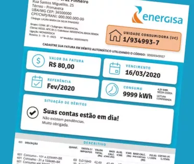 Clientes de Rondônia receberão nova conta de luz