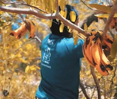 Energisa atua no resgate de animais afetados pelas queimadas no Pantan