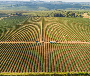 Áreas rurais serão monitoradas por satélite