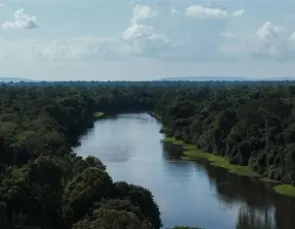 Semana do Meio Ambiente - EP 1: Tatiana Feliciano