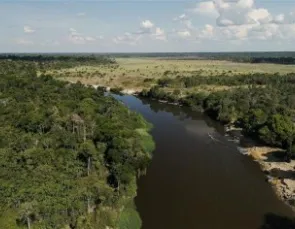 Floresta Viva:Energisa reforça compromisso com a preservação ambiental Floresta Viva:Energisa reforça compromisso com a preservação ambiental