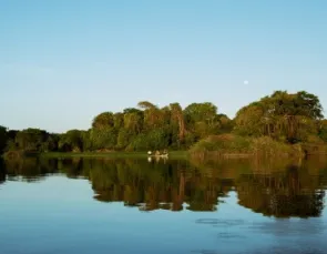 Caminhos da Descarbonização: a adição energética em ação