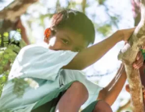 Energisa aposta em investimentos e descarbonização sustentável