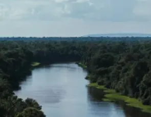 Energisa tem como meta neutralidade de carbono até 2050 