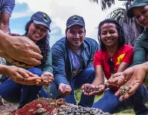 Energisa apoia Floresta Viva para restauração da Bacia do Xingu