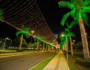 Parque da Sementeira recebe tradicional iluminação de Natal