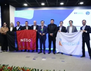 Energisa Paraíba é, pela terceira vez, a melhor distribuidora do país