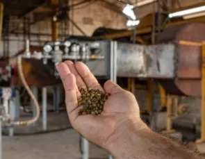 Projeto pioneiro usa gás natural na secagem de café no ES