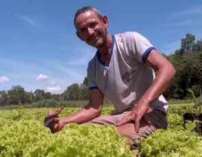 Da agricultura familiar a rede de supermercados, a energia faz a difer