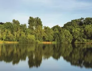 Descarbonização da Amazônia Legal