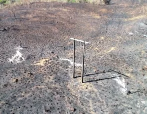 Prevenção e educação: as chaves para combater incêndios no Tocantins