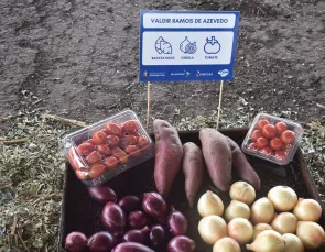 Projeto de compostagem da Energisa gera bons resultados em Adamantina