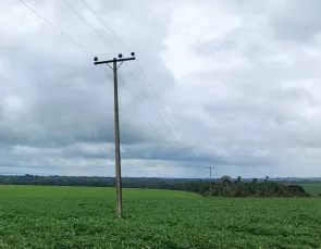 Novo calendário rural apoia 250 mil famílias que estão no campo a cont
