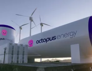 Parceria entre Energisa e Octopus Energy com foco na energia renovável Parceria entre Energisa e Octopus Energy com foco na energia renovável