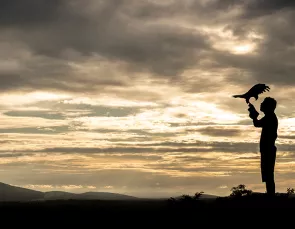 O encantador de falcões: de Itabaiana para o mundo