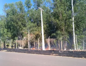 Chegada do verão Amazônico acende alerta para o perigo das queimadas e