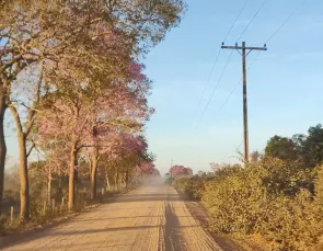 Produtores rurais que recebem desconto da Tarifa Rural devem renovar o