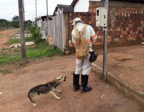 Energisa registra 1.300 alertas contra ataques de cães em Mato Grosso  Energisa registra 1.300 alertas contra ataques de cães em Mato Grosso