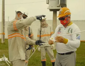 Linha viva garante eficiência e evita desligamentos