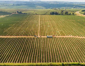 Áreas rurais serão monitoradas por satélite