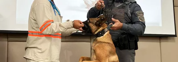 treinamento de leituristas contra ataques de animais