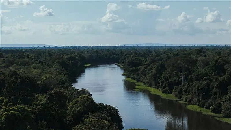 Semana do Meio Ambiente - EP 1: Tatiana Feliciano