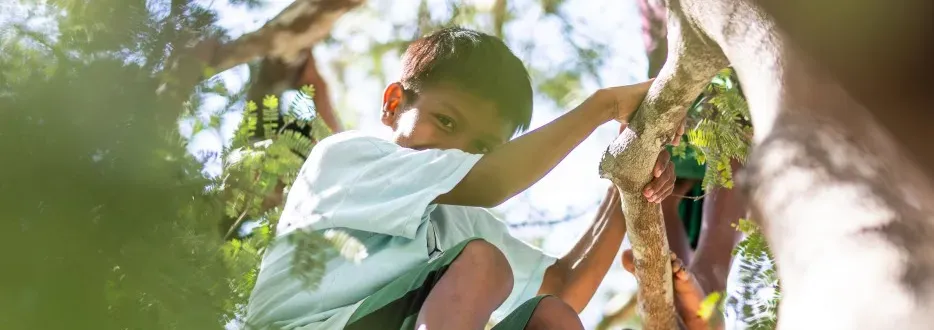 Investimentos e descarbonização impulsionam estratégia de sustentabilidade do Grupo Energisa 