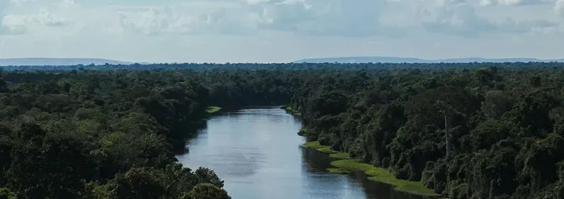 Energisa tem como meta neutralidade de carbono até 2050