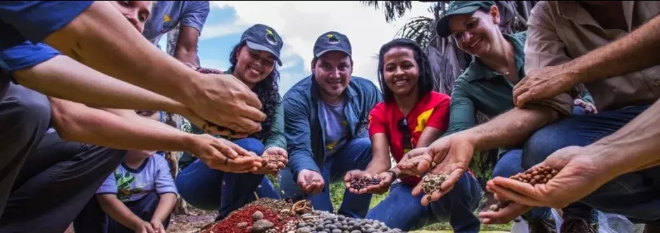 Energisa apoia programa Floresta Viva para restauração da Bacia do Xingu 