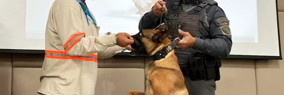 treinamento de leituristas contra ataques de animais