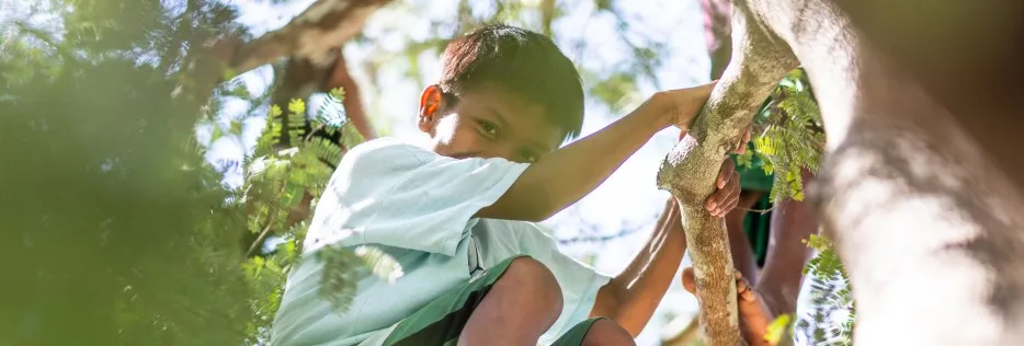 relatório de sustentabilidade