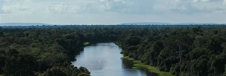 meio ambiente